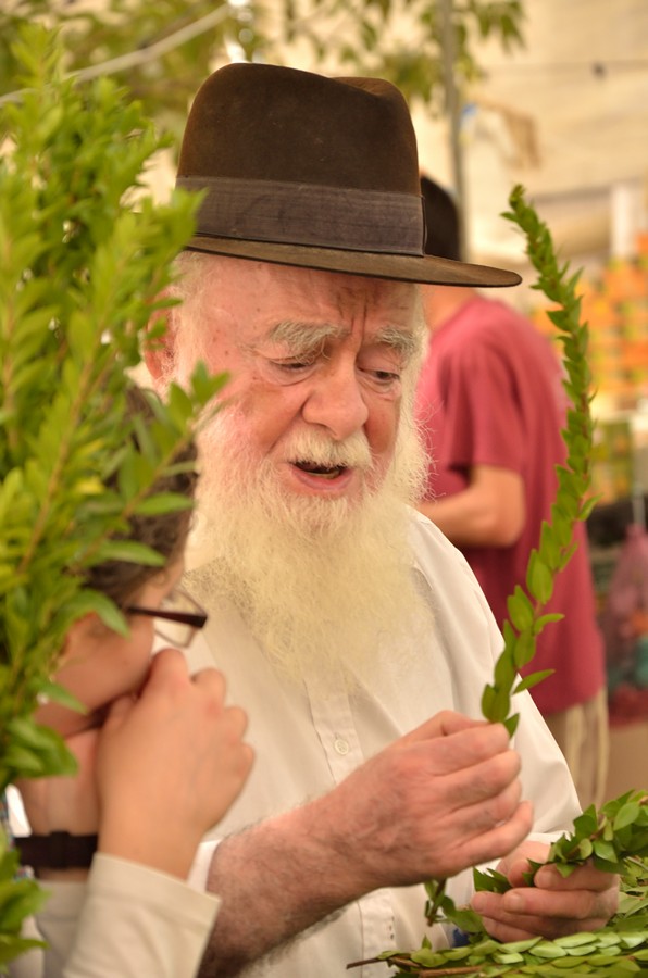 צילום: רותי אוחנה