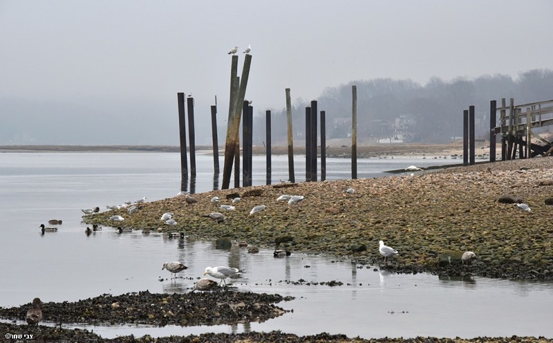 long island beach