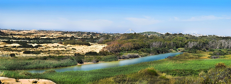 נחל שורק ||