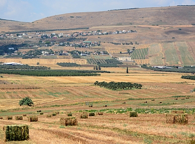 שדות