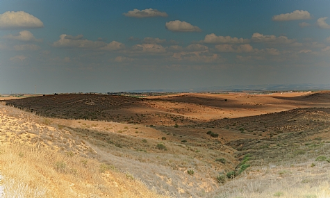 אור וצל בבתרונות רוחמה