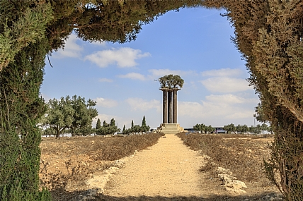 עמודי הזית