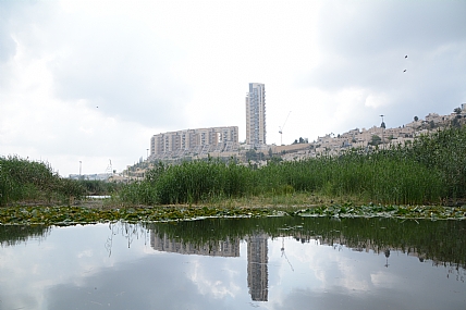 צילום: ניסים אסולין