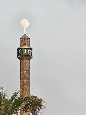 צילום: ניצן רצון