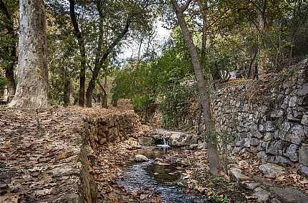 צילום: אריה טננבאום