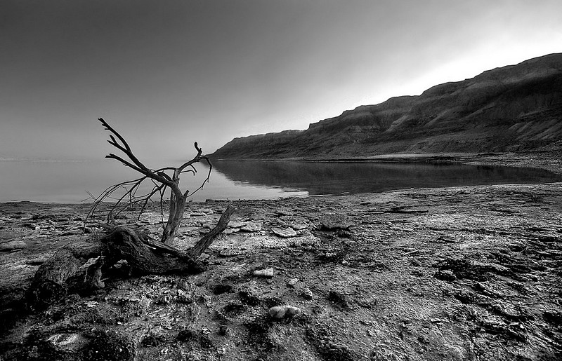 The dead sea...